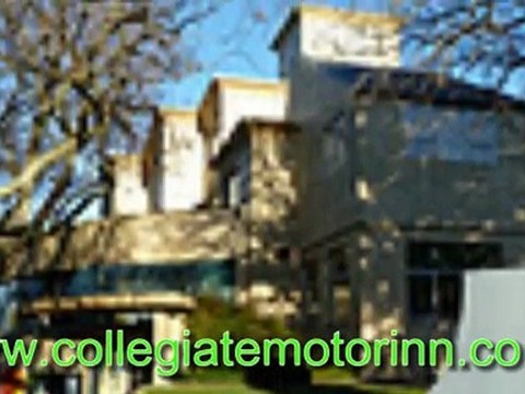 Wanganui Accommodation. Useful Tips in A Great Holiday