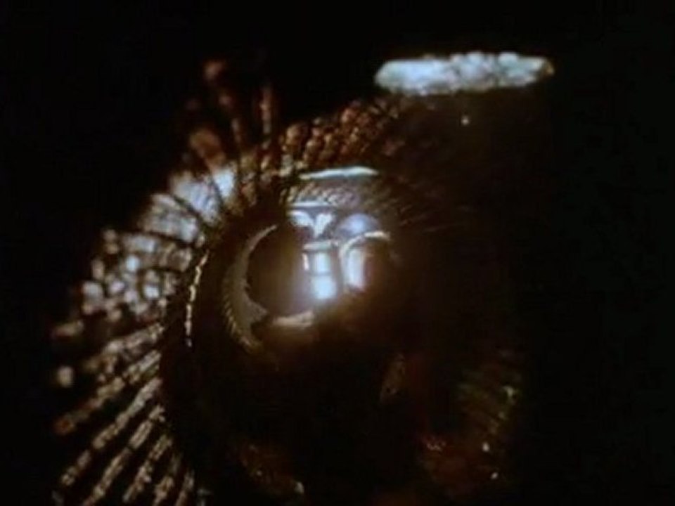 ÉGOUT - LIFE OF BRIAN