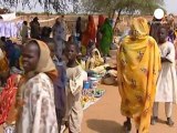 Darfur: esercito Sudan 