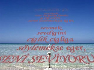 Seni Seviyorum - sesliaynam (siir)