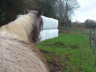 Urane sortie du près