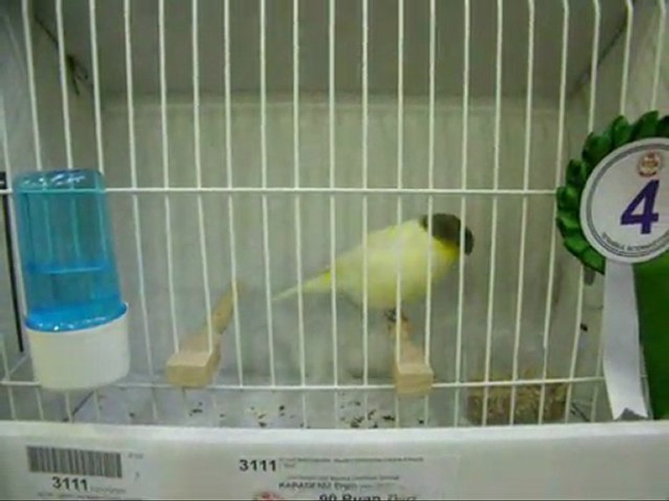 5-LIPOCHROME AHRAC TEPELILER