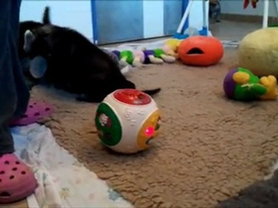 BB novembre Indiana 24-12