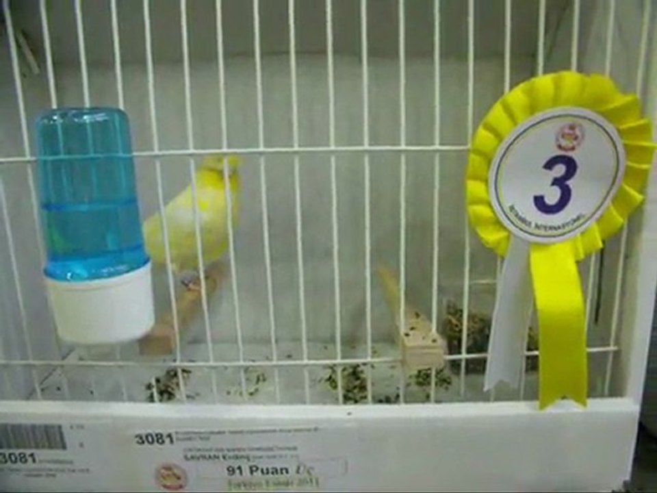 7-LIPOCHROME TEPELILER