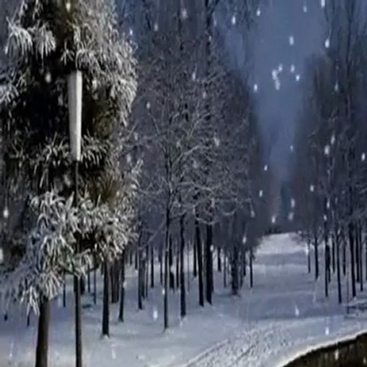 GİDECEKSEN VEDA ETME HABERİM OLMASIN.mp41