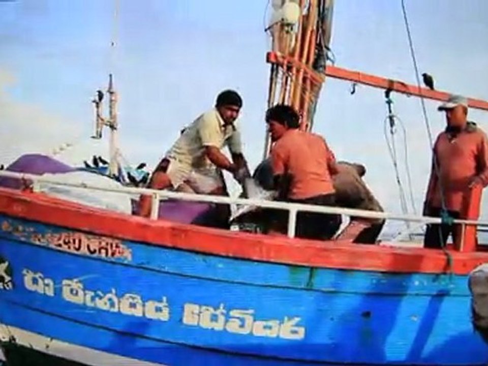 The fish market in Negombo, SRI LANKA