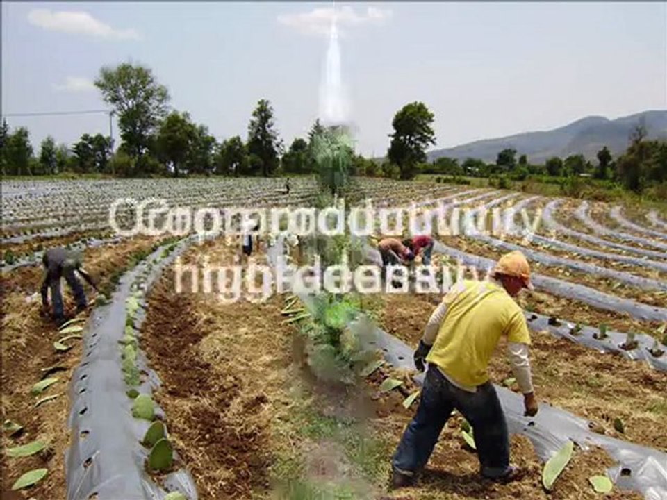 Elqui Global Energy Biogas Ing