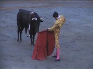 Faena de Juan Viriato al toro MERLUFO
