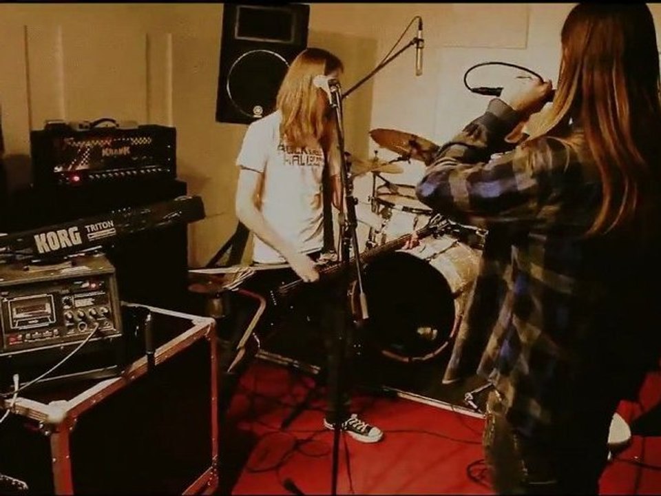 Tracedawn - "Breed Insane" (2012)