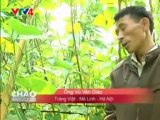 VTV4 -phát sóng 10-12 đến 12-12-2011 - Kết quả sử dụng chế phẩm sinh học Vườn Sinh Thái