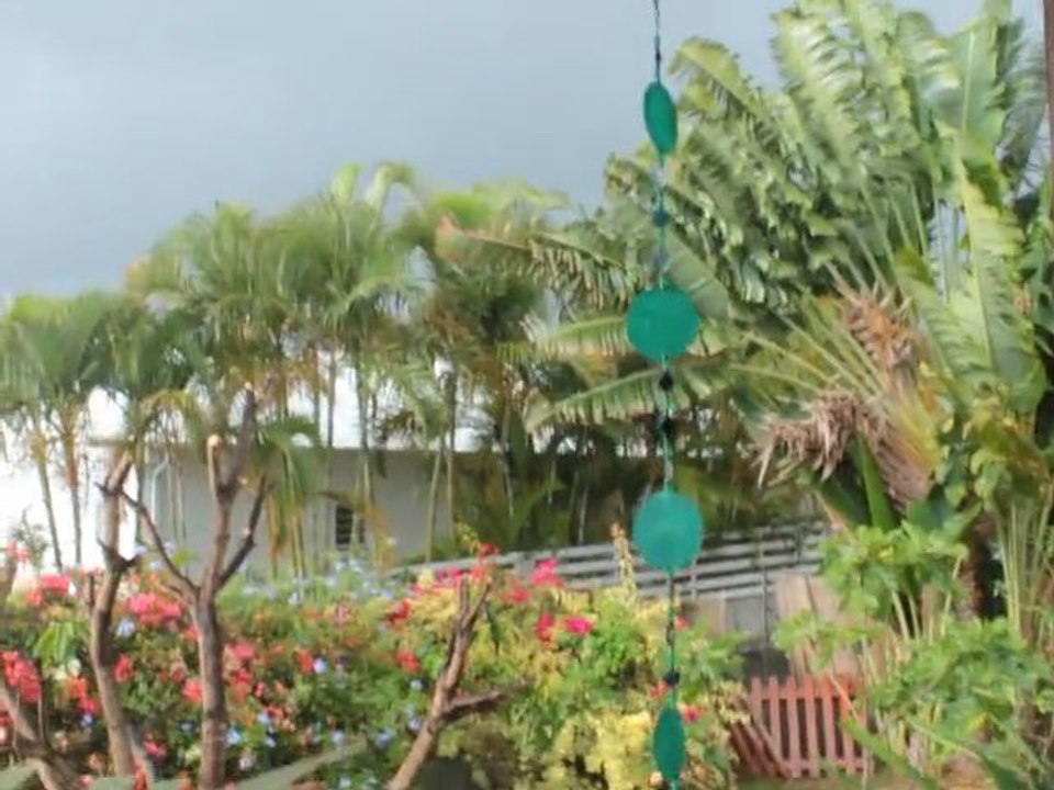 2 janvier sous la pluie...