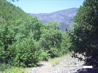 Muhsin Tozlu - Küçükten Görmedim Ana Kucağı - 112