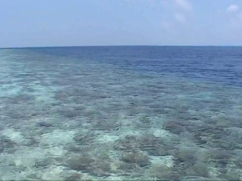 Lilly Beach 2010