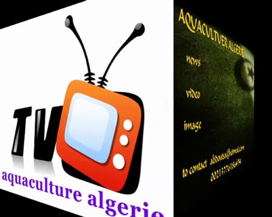 تيبازة ✿│ مؤسسة إصلاح السفن بميناء شرشال
