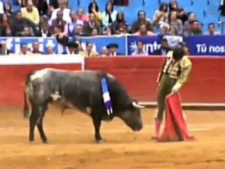 Eduardo Gallo   Confirmacin en la Mxico