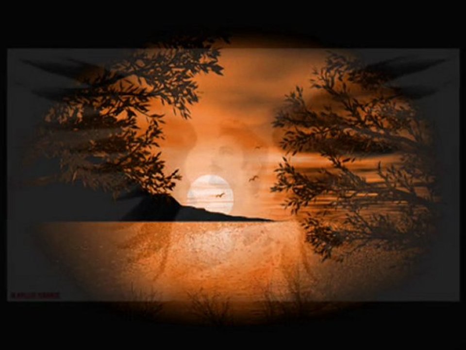 ÇEKİL GİT DESEMDE GİTME -ANKARAPARS