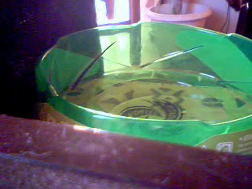 Les super combats beyblade de laisadu64