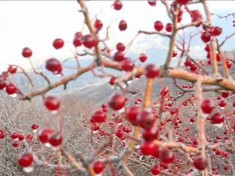 BEYDAĞ' DAN AYDIN DAĞI ZİRVE TIRMANIŞI 25 ARALIK 2011