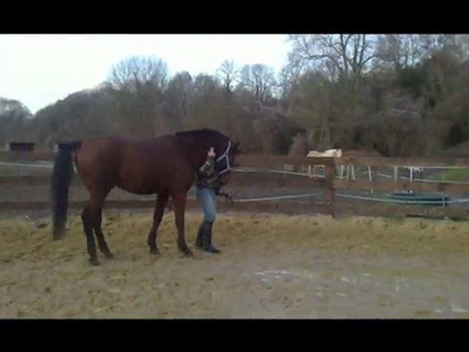 Rodeo et chris jeu au sol