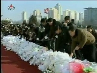 Magpies 'mourn Kim Jong'il'