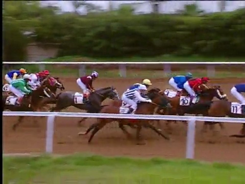 Grand Prix du Maghreb : 1e course - Prix des Poulains et Pouliches : Djarnizam Maamora