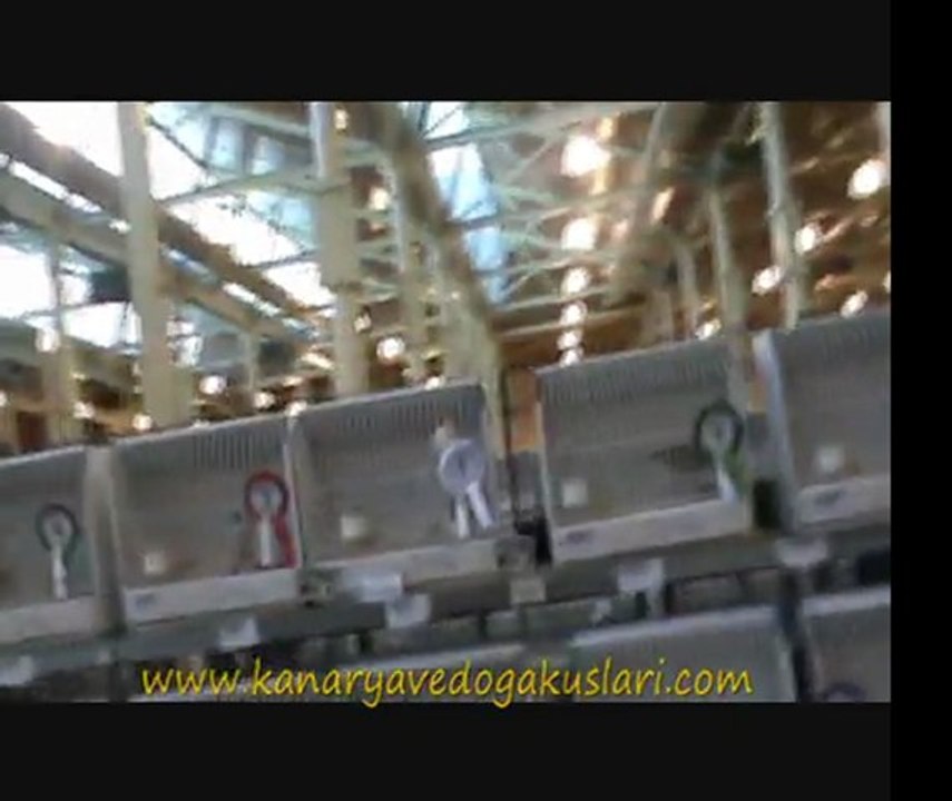 2011 Feshane 16.Türkiye Finali - Doğa Kuşları