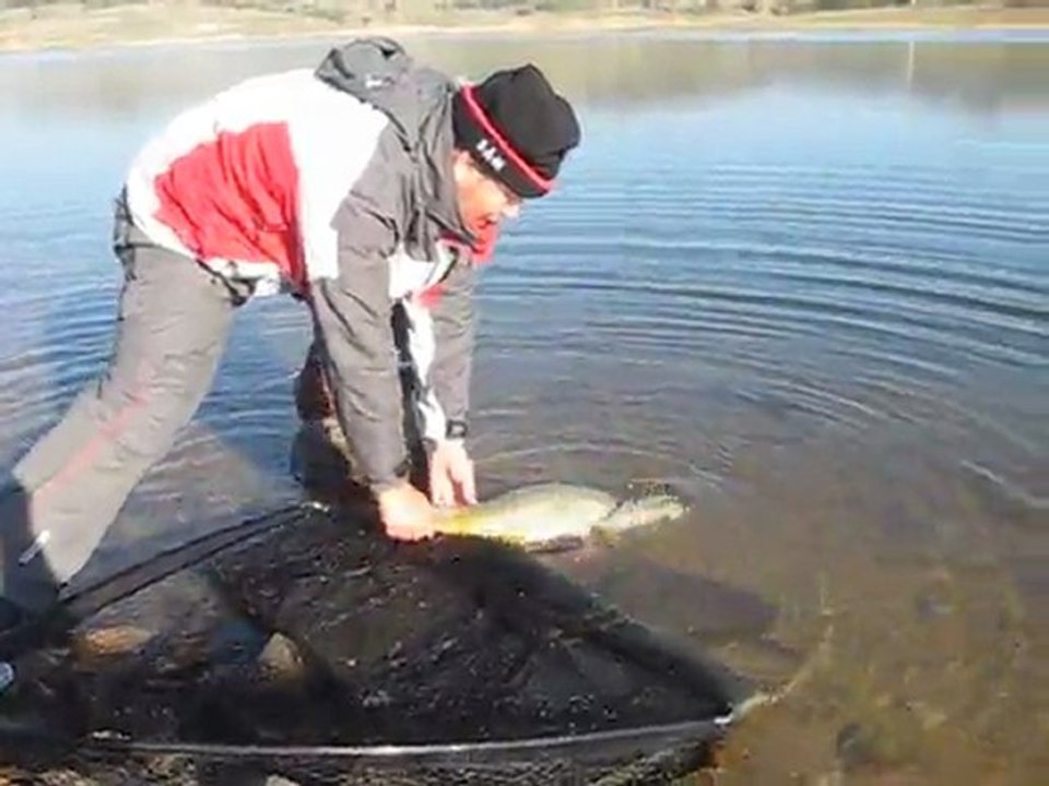 bilent yıldırım sazan bırakma