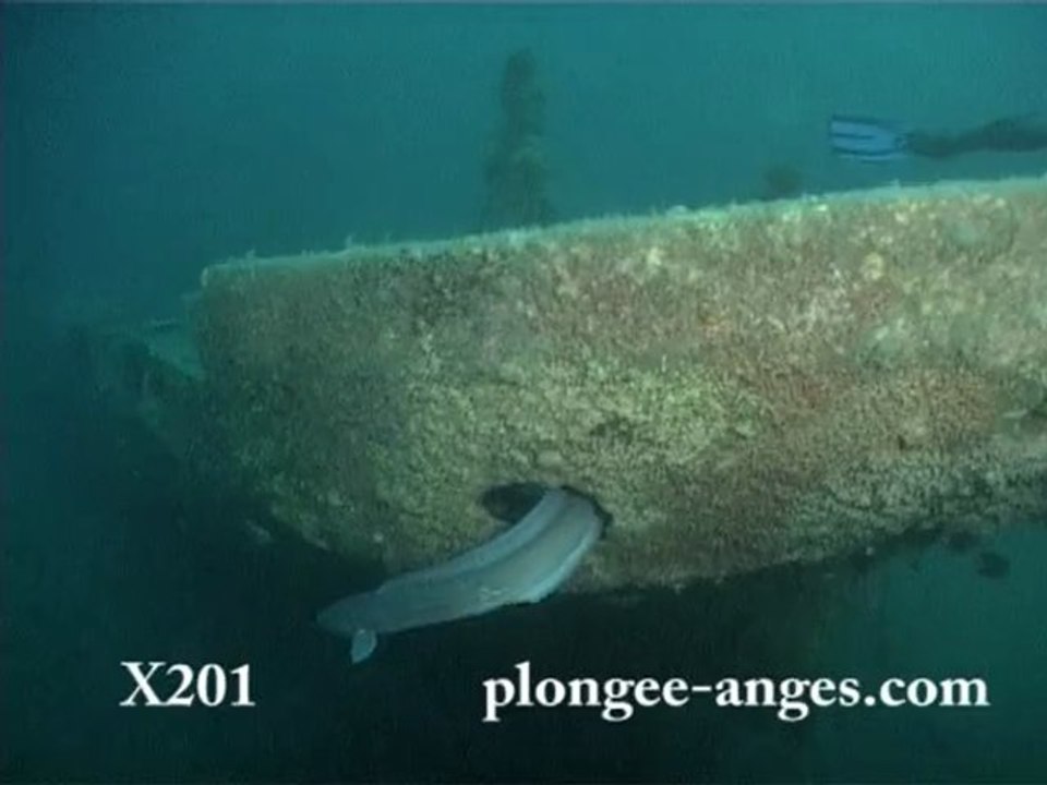 deuxieme plongee sur la X201