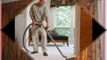 Carpet Cleaning Highland Park | 323-331-9399 | Carpet & Rug Service