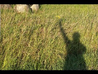 2011, une année en photographies, d'ici et d'ailleurs....