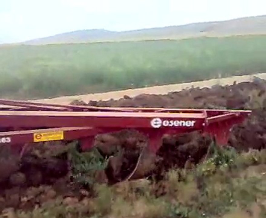 landini