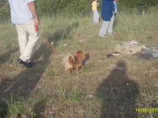 Uçurtma Şenliği Slayt