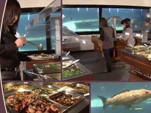 Publicité Restaurant Ô Zen La Valentine 13011 Marseille