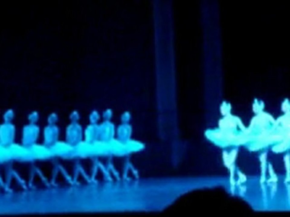 4 petits cygnes, Le lac des Cygnes Bastille dec 2010