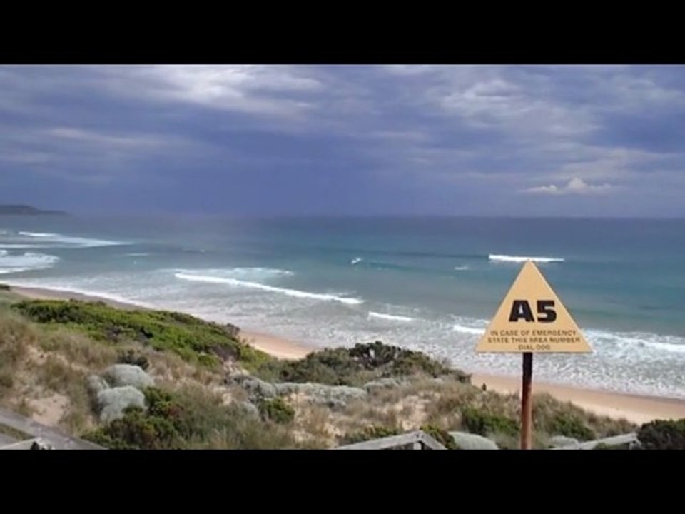 AUSTRALIAN DOUDOU DREAM 4E PARTIES