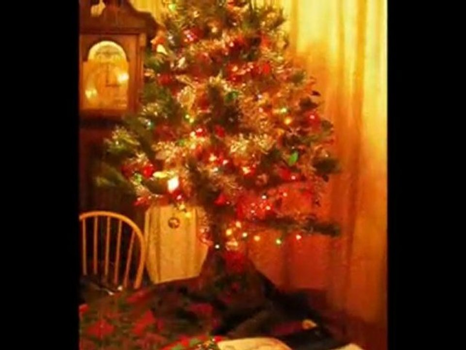 Christmas 2011_xvid