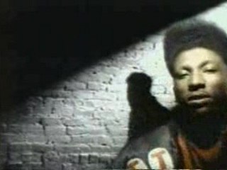 Lord finesse - strictly for the ladies