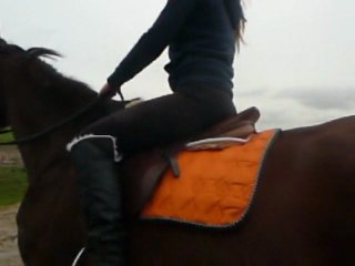 ballade cool pour vollereaux avec tanya et torcèlia avec coralie