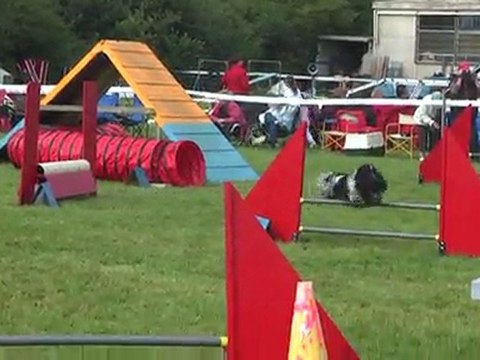 concours agility c'ven fleury2011