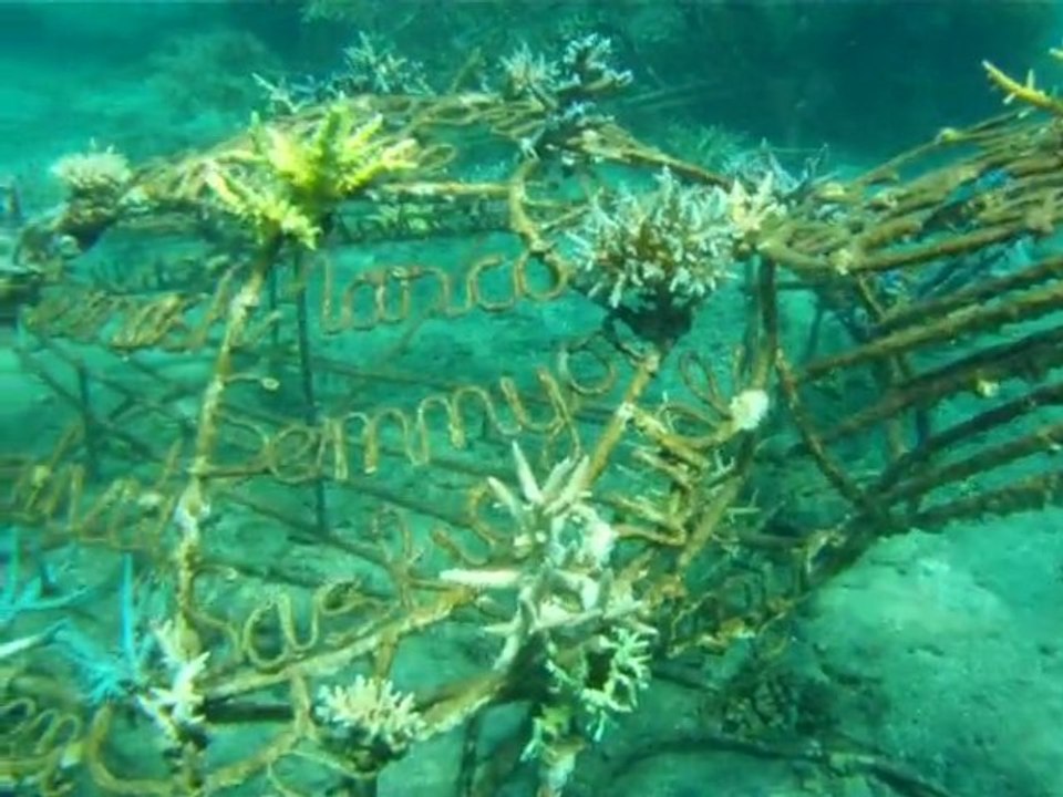 Elektrisch betriebene Riffe retten die Unterwasserwelt vor Bali