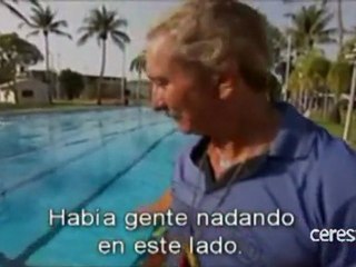 Australia: Un cocodrilo en una piscina pública
