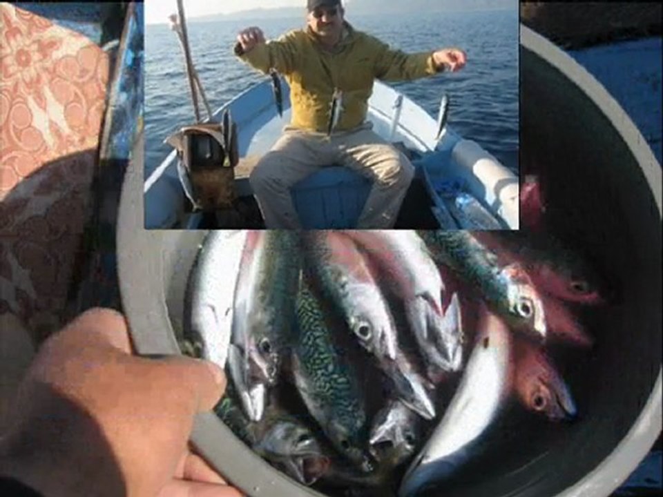 Sivrice 2009 yılı misafirlerimle çapari balık avım