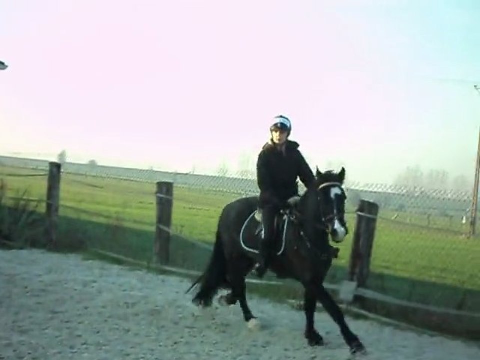 T quiero et moi galop