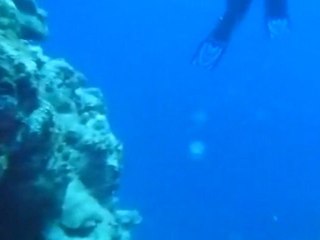Egypte Dahab Diving Holiday