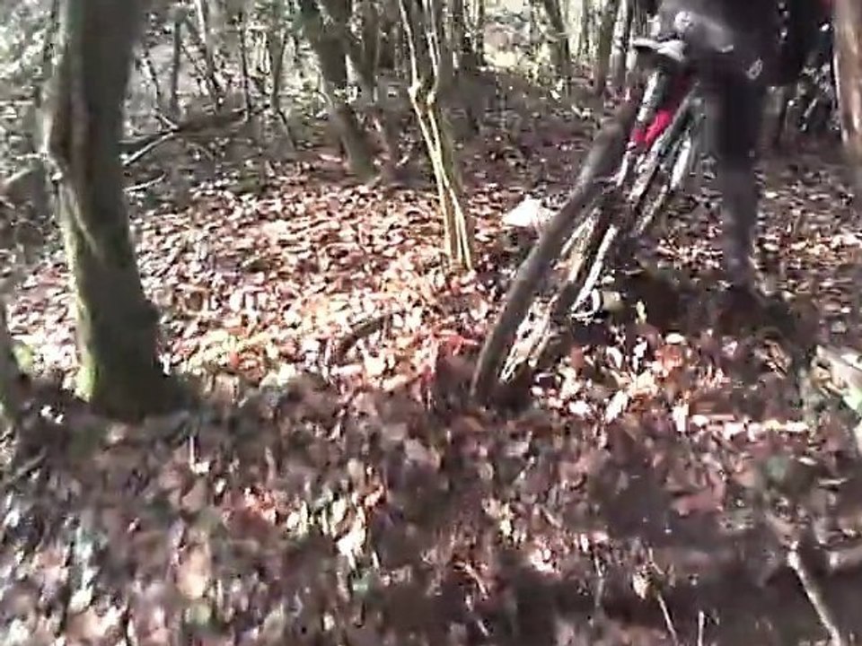 vtt bois de Cleden (2)