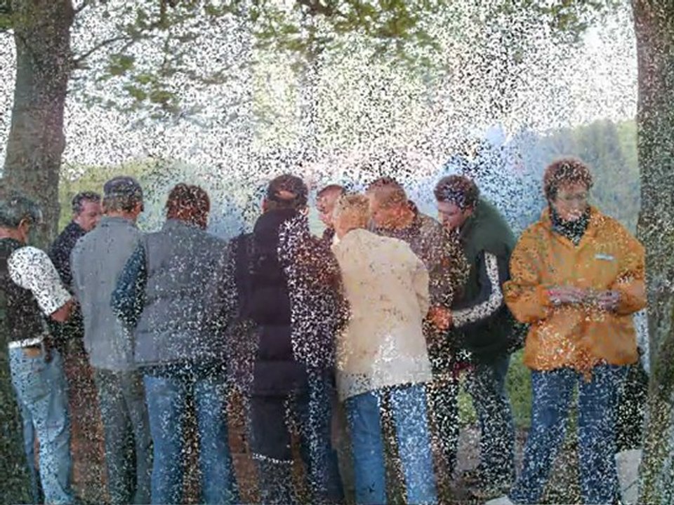 sorties 2004 1