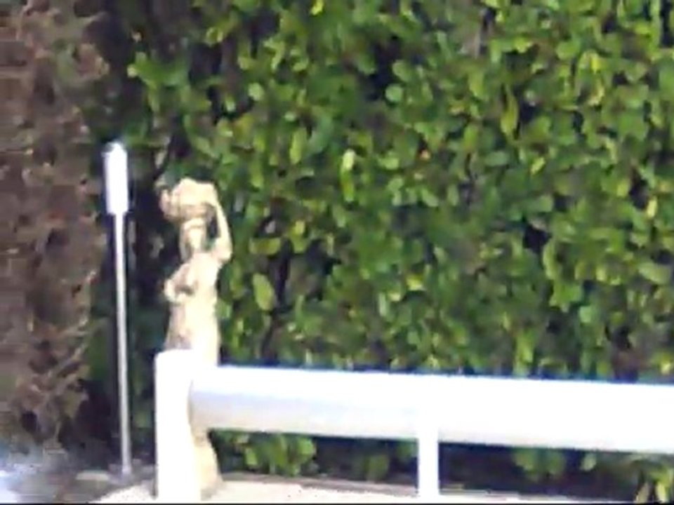 Nine Eagle 328 - 20011227