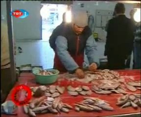 Haber Anadolu - 21.03.2009