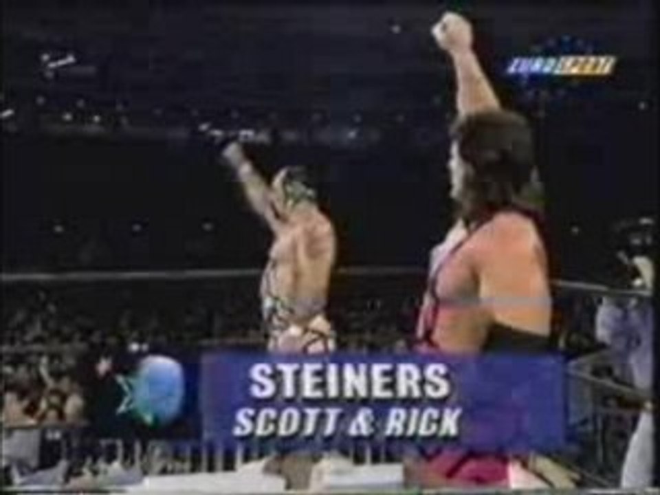 Steiners vs Hell Raisers 1/4/93