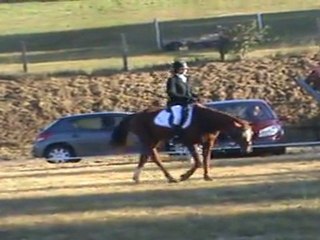 vidéo cce felletin 002